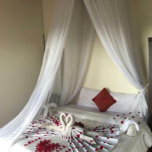 Villa de Luxe à 1 Chambre à Coucher